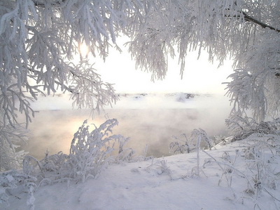 «Белым снегом январь заметает...»